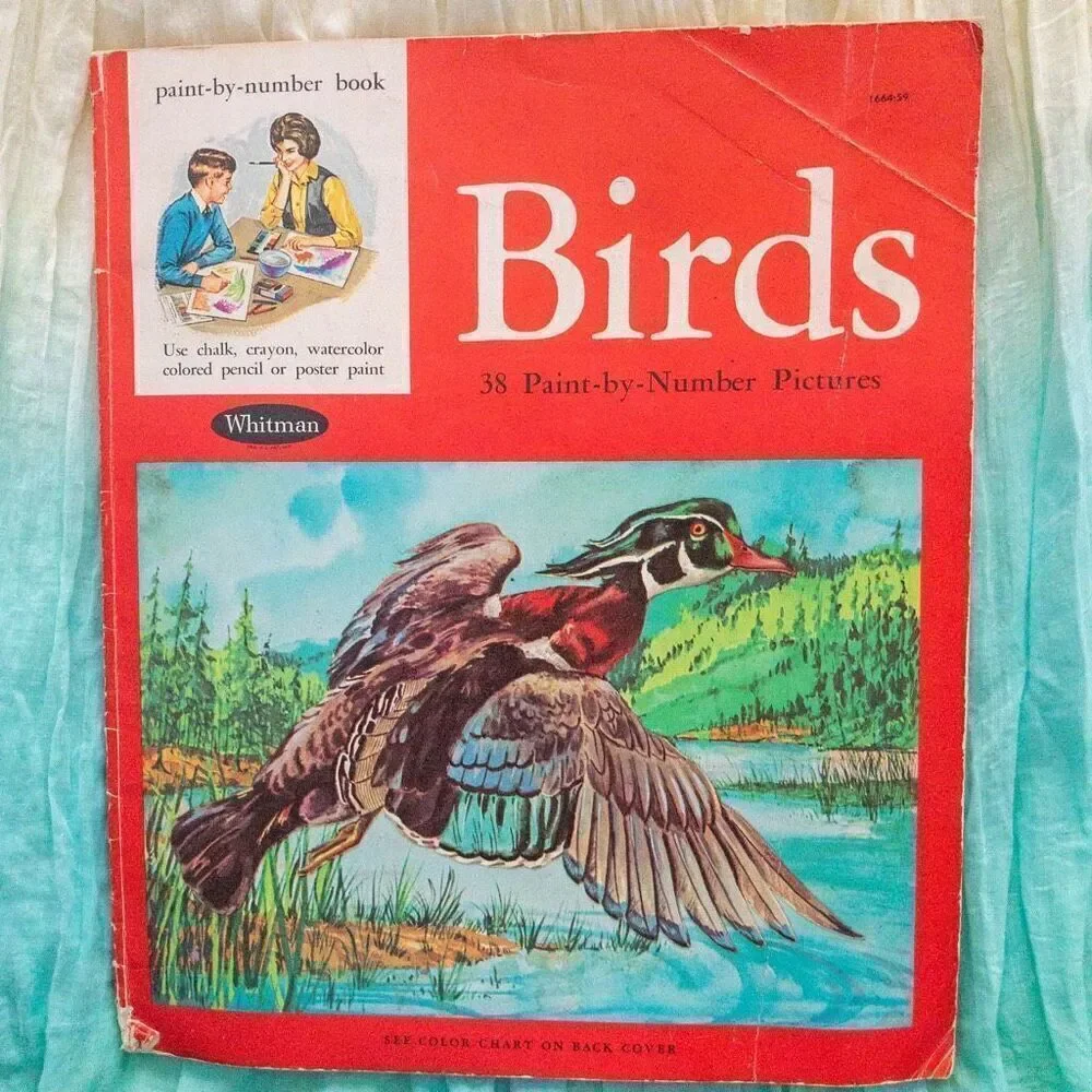 Vintage Birds Paint By Number Art Activity Book Whitman 1961